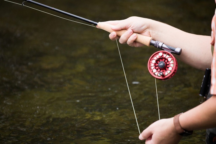 What is a 10 weight fly rod good for?