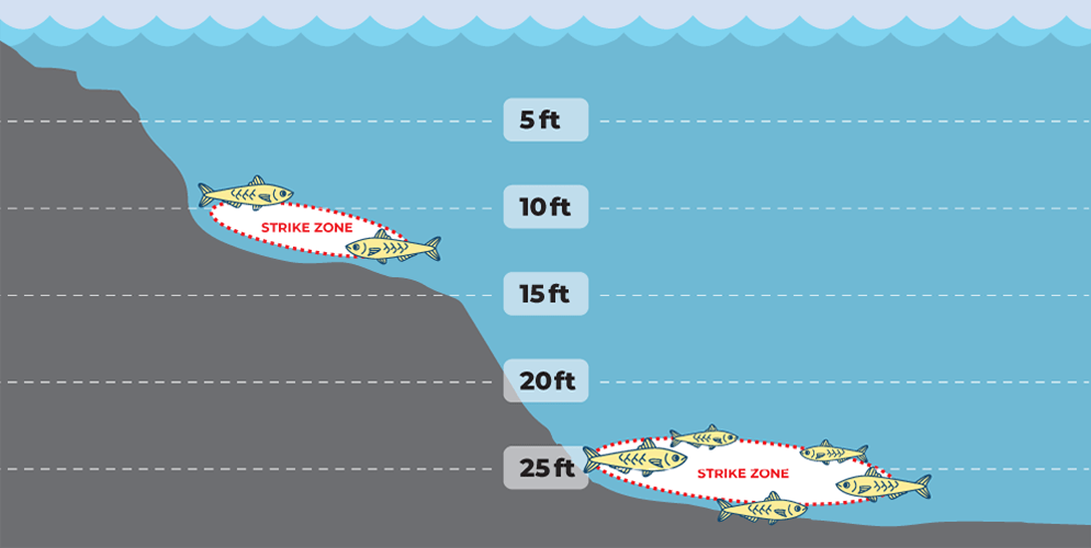 Where to catch walleye