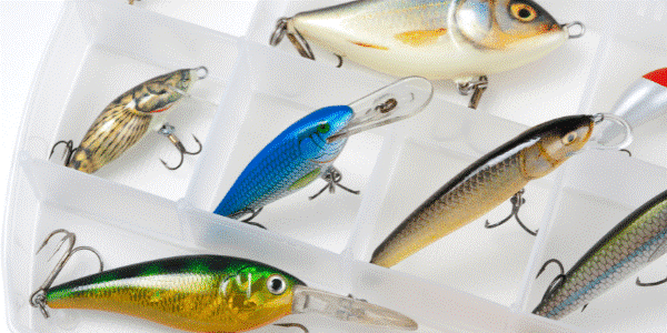 Lures to catch bass