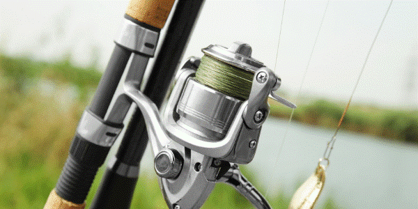 How to catch bass using a spinning reel