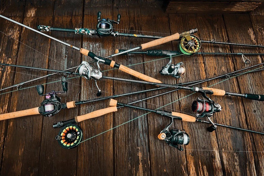 Best Ultra Light Fishing Rod - Live For Fishing