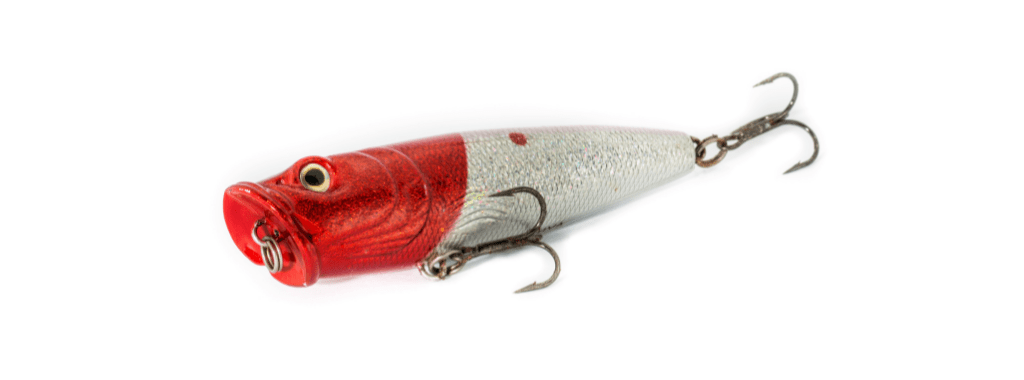 Popper fishing lure