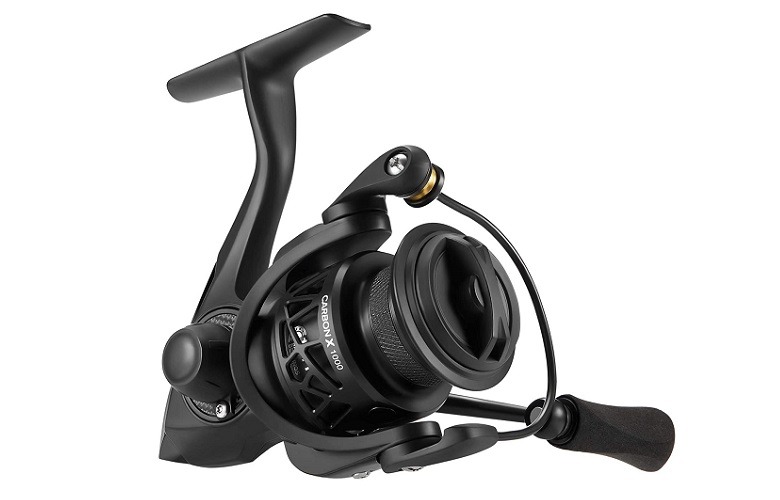 Piscifun Carbon X Spinning Reel Review