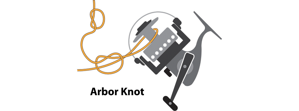 Arbor knot to tie fishing line to reel