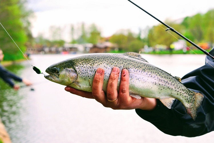 Reviews for the best fishing line for trout