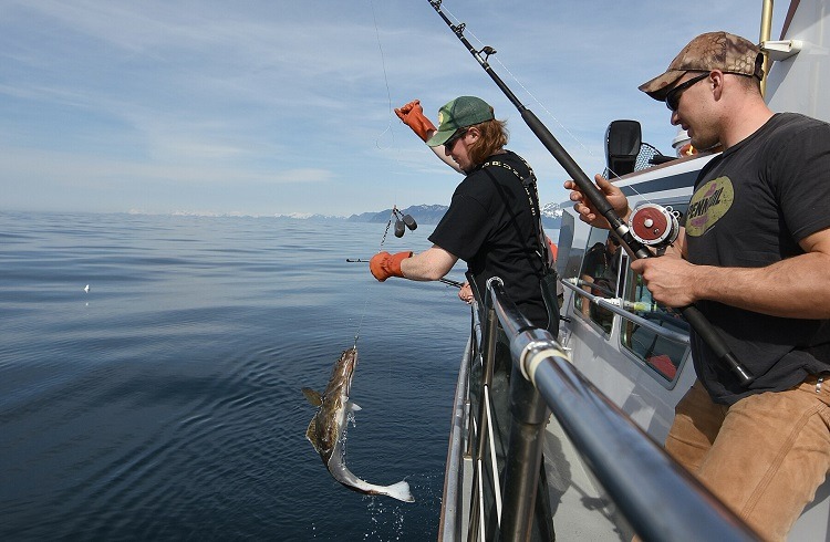 what are the best lures for halibut