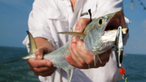 Best spanish mackerel lures