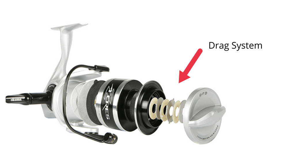 A problem with the drag system may cause a fishing reel go backwards