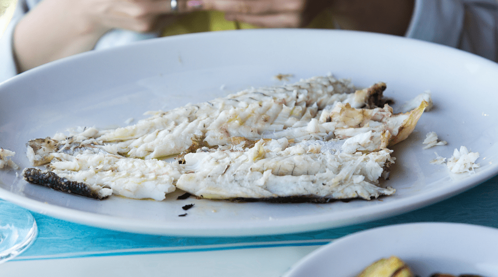 how to cook barracuda fish
